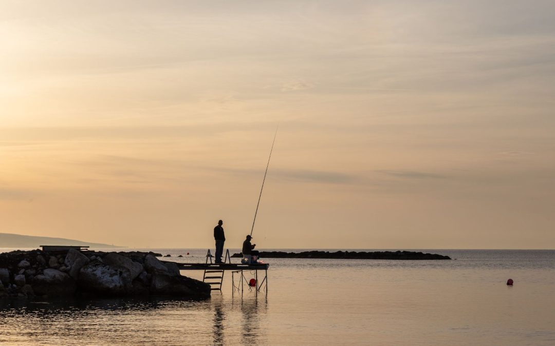 The Angler’s Calendar: Seasonal Fishing Tips for Success